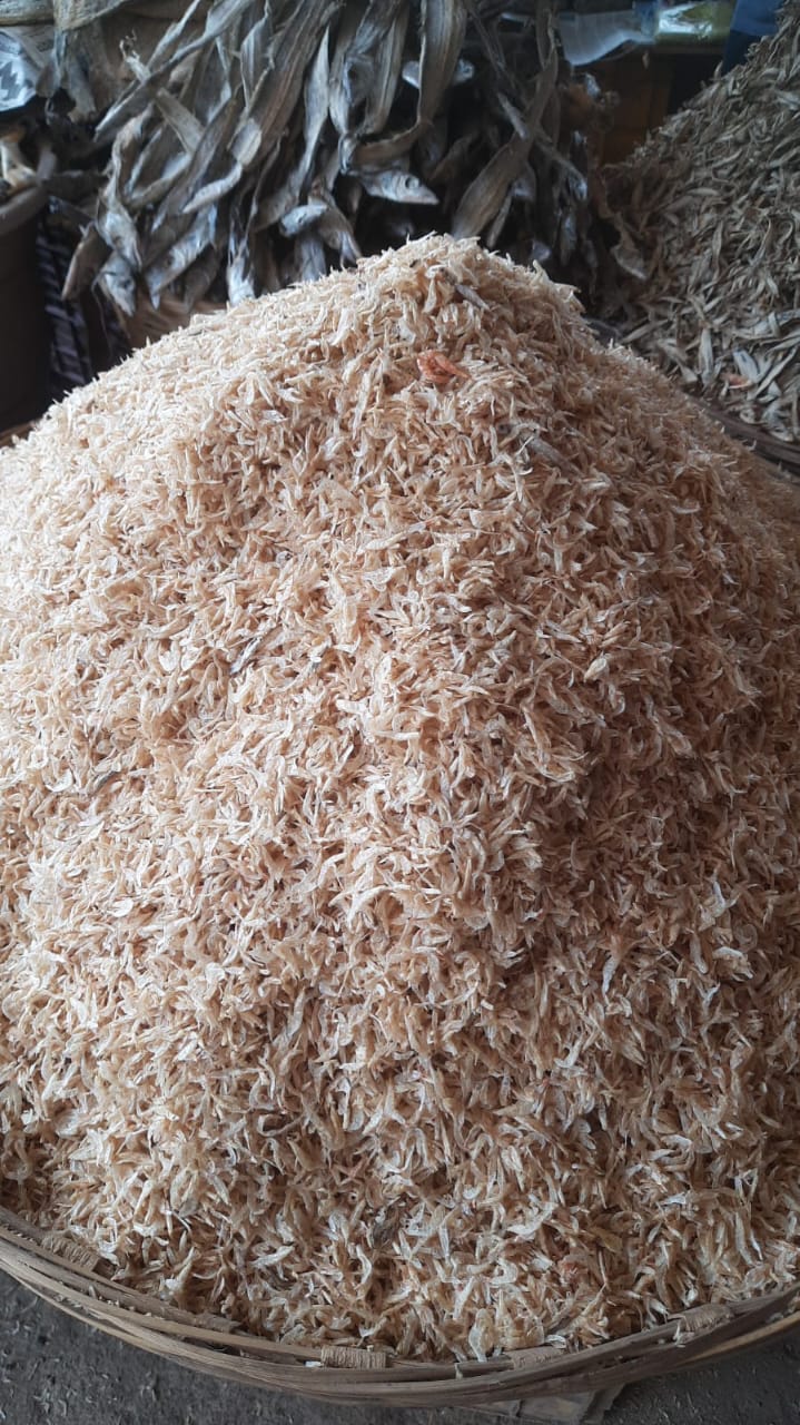 dry fish shrims